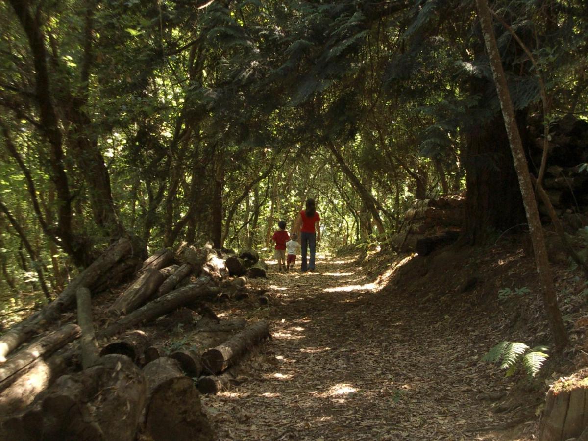 Willa Quinta De Santa Julia Peso da Régua Zewnętrze zdjęcie