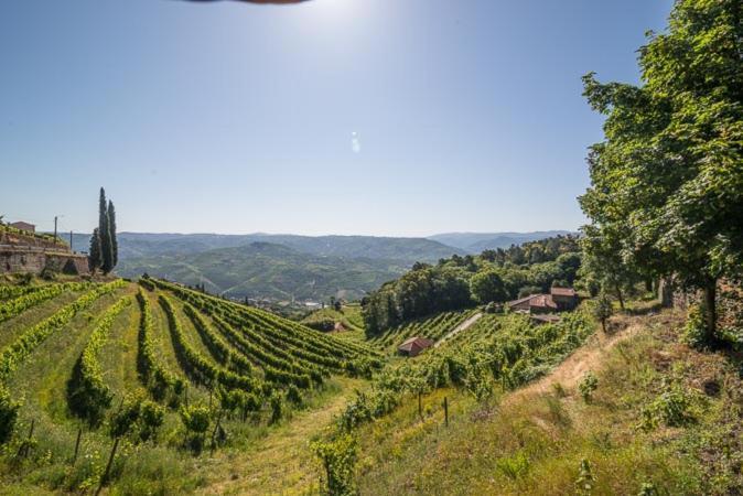 Willa Quinta De Santa Julia Peso da Régua Zewnętrze zdjęcie