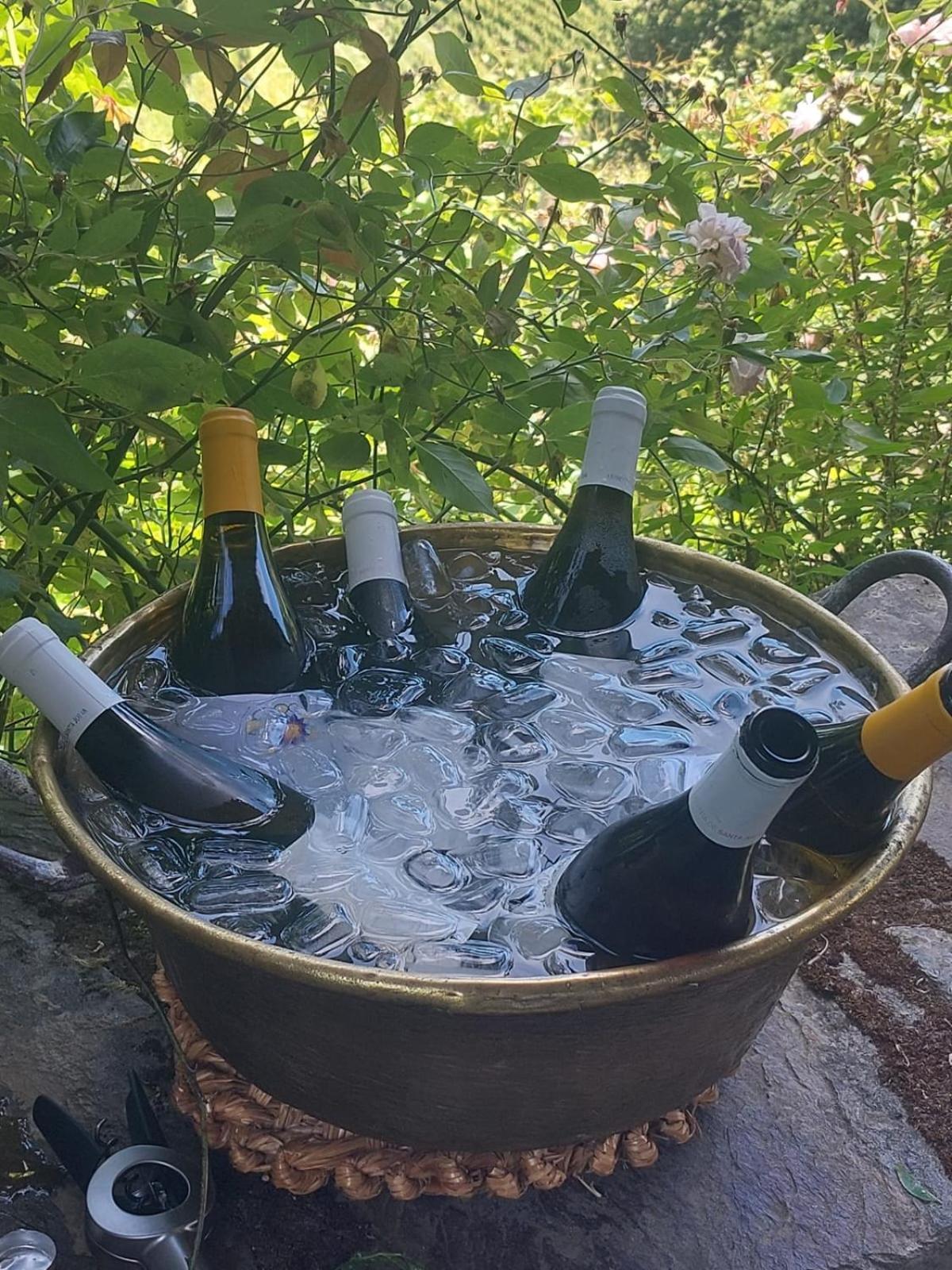 Willa Quinta De Santa Julia Peso da Régua Zewnętrze zdjęcie