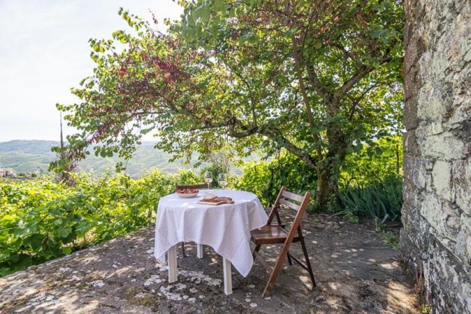 Willa Quinta De Santa Julia Peso da Régua Zewnętrze zdjęcie