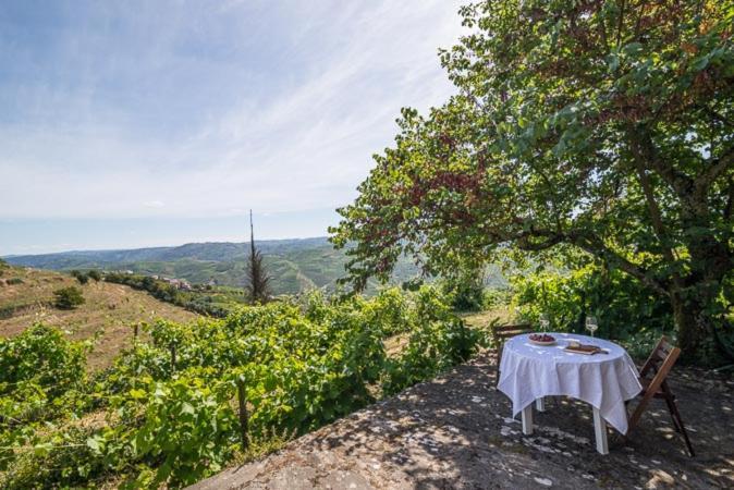 Willa Quinta De Santa Julia Peso da Régua Zewnętrze zdjęcie