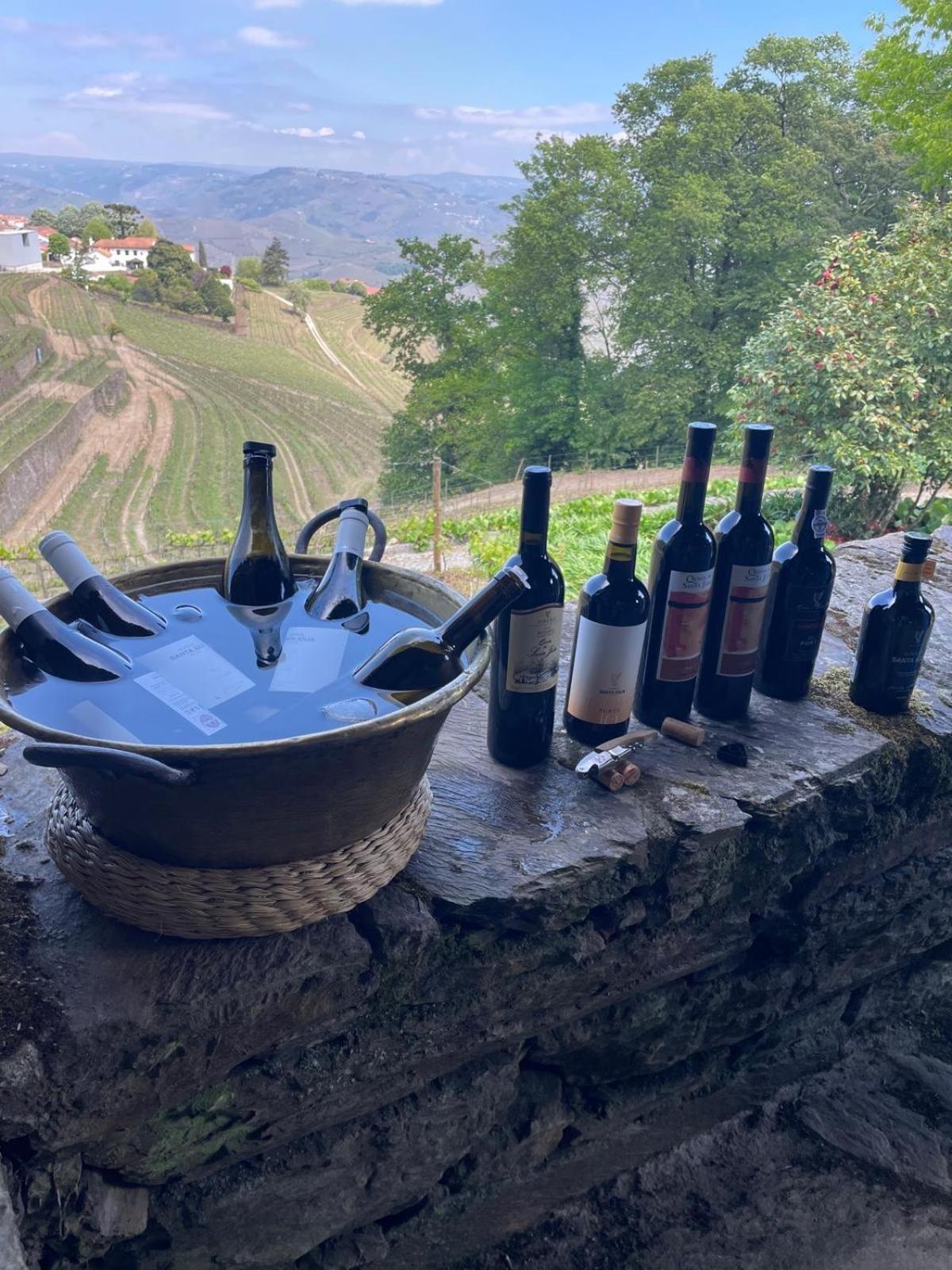 Willa Quinta De Santa Julia Peso da Régua Zewnętrze zdjęcie